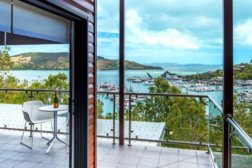 Kingfisher On Hamilton Island