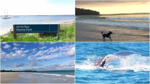 Callala Beach Shack - Pet Friendly