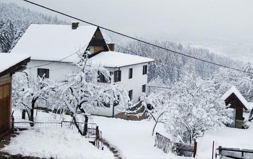 Hostal Apartman Gm