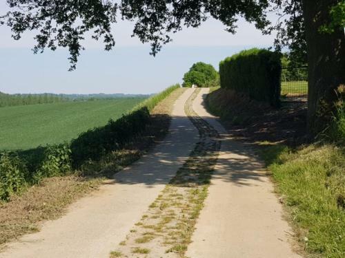 Bed & Breakfast Boslucht Leuven