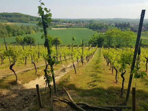 Bed & Breakfast Boslucht Leuven