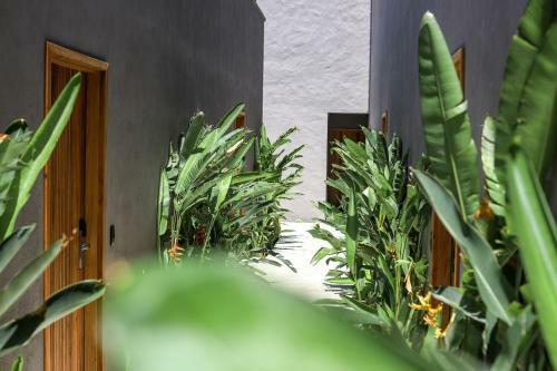 Makena Hotel