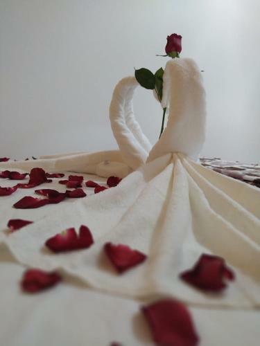 Hostal Pousada Flor De Maragogi