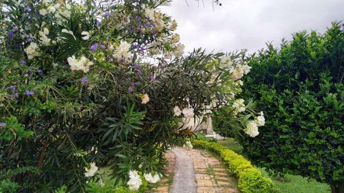 Hotel Pousada Ecol�gica Das Brom�lias