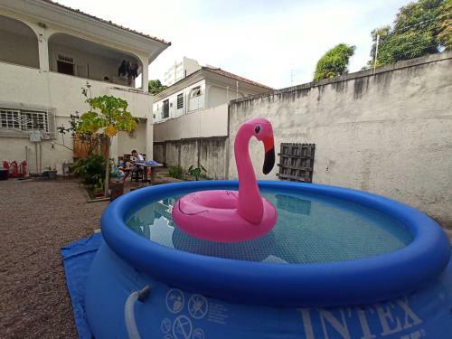 Casinha Tropical