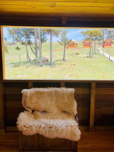 Hostal Pousada Bela Tereza