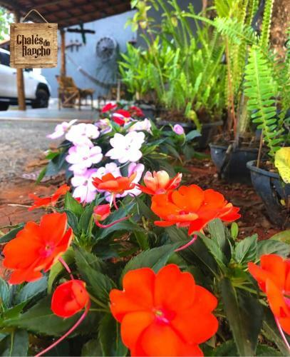 Hostal Chal�s Do Rancho Canastra