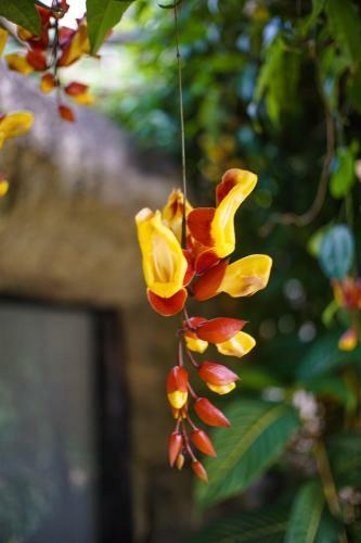 Hotel Eco Resort Bela Riba