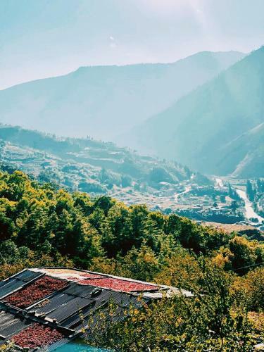 Hotel The Postcard Dewa, Thimphu, Bhutan