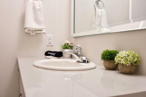 Gorgeous Modern 2bd Condo Heart Of Wpg Coffee Location