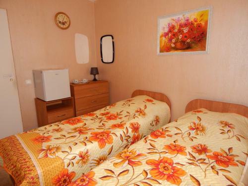 Albergue Advance Trio