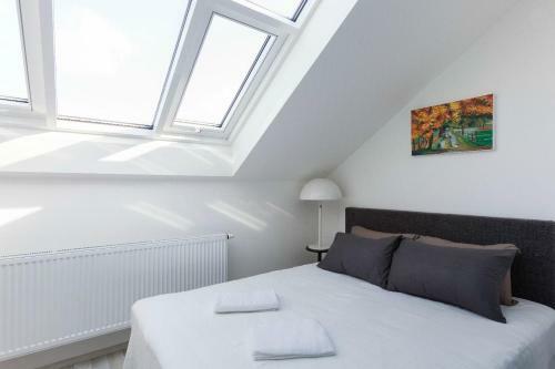 Apartamento Kent Ridge Loft, Sokolska