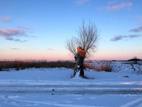 Apartamento Speicher Residenz Barth E3 App 7