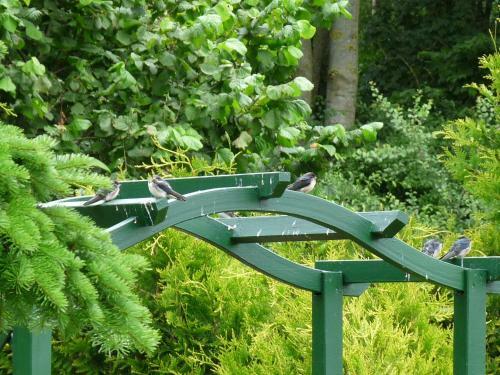 50093 Landhaus Rohde