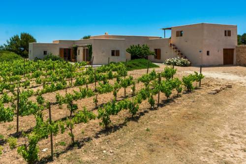 Villa Thesuites Formentera