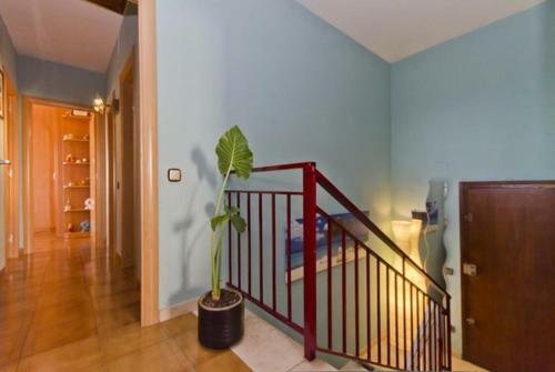 Macanet de La Selva Villa Sleeps 7 Pool Air Con