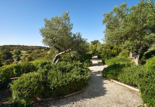 Hotel Rural Quinta Do Marco - Nature & Dining