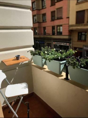 Cabernet Sauvignon Apartment. Surf Beach