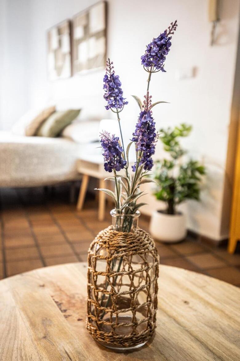 Apartamento San Esteban Alto