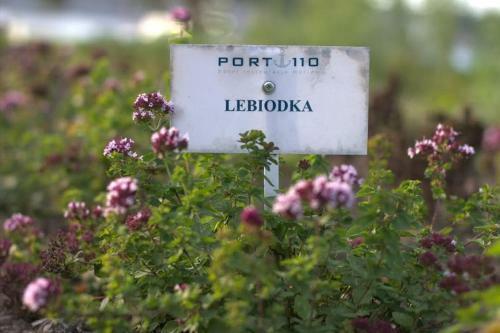 Hotel Port 110