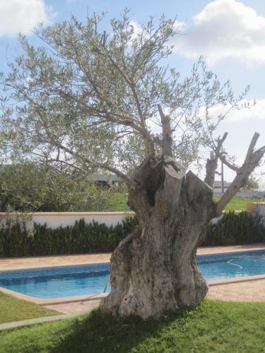 Hostal Outeiro Da Vila - Casas De Campo