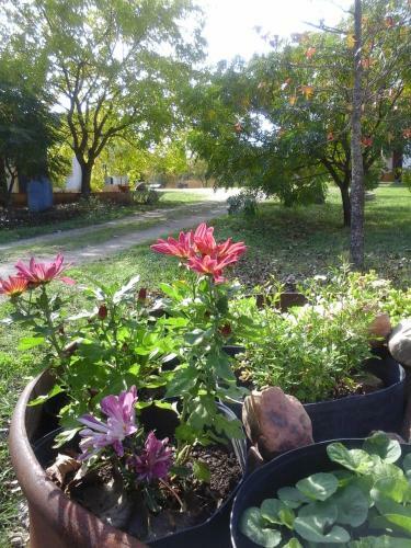 Agroturismo Quinta Dos Trevos
