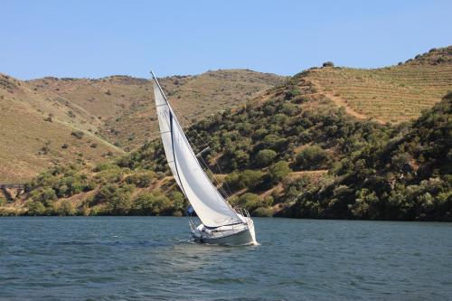 Hostal Douro Fluvina Yachts & Chalets
