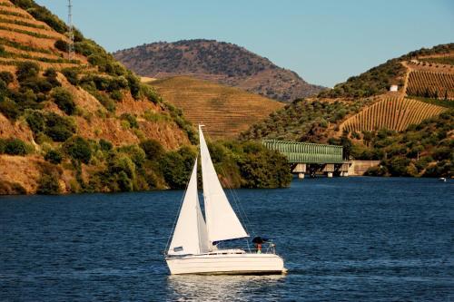 Hostal Douro Fluvina Yachts & Chalets
