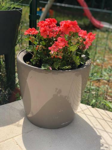 Bed & Breakfast Les Hauts De Castets