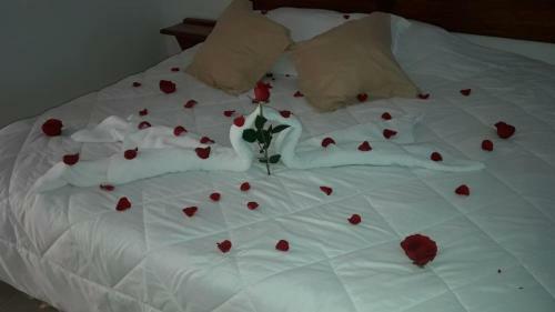 Hotel Vista Lago