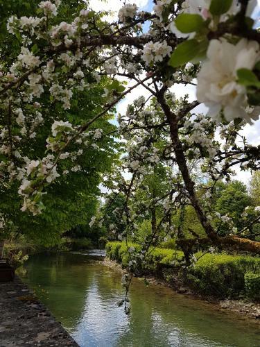 Hostal Rive Gauche Et Spa