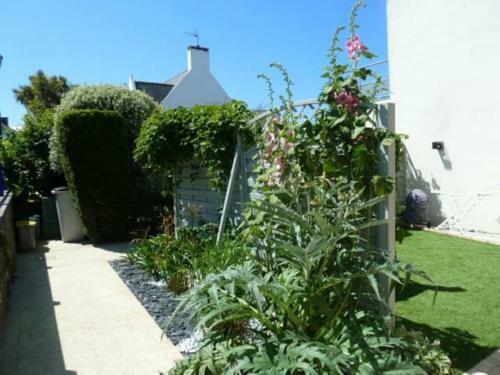 Comfortable Holiday Home In Roscoff With Garden