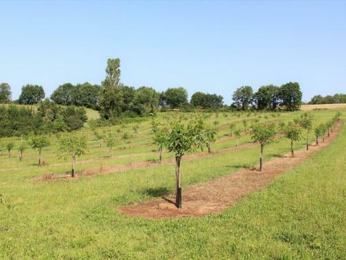 G�te Saint-avit-s�nieur, 4 Pi�ces, 6 Personnes - Fr-1-616-111