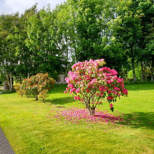 Hostal Bogenraith House