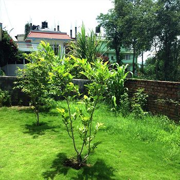 Bed & Breakfast Hotel America Kathmandu