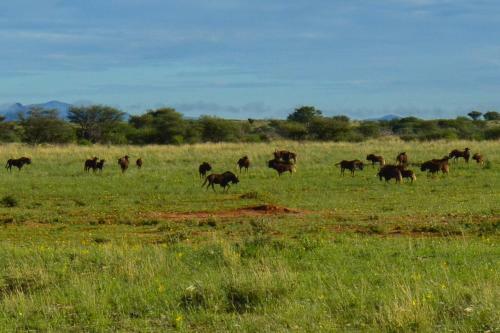 Agroturismo Onduruquea Guestfarm