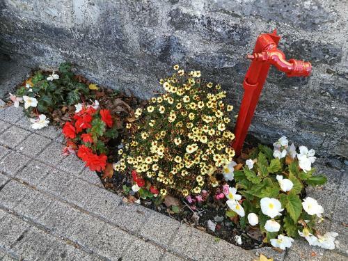 Cossington Park Cottage