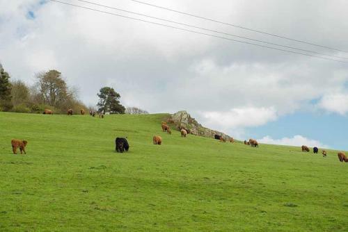 Barn Lodge With Hot Tub Near Cupar Fife