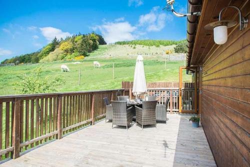 Woodpecker Lodge With Hot Tub Near Cupar Fife