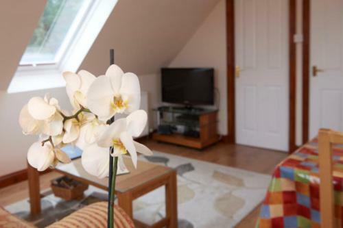 The Mews Apartment At Daviot Lodge
