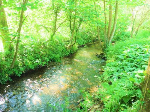 The Hideaway At Tregoose Old Mill