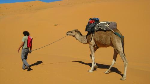 Bed & Breakfast Auberge Ocean Des Dunes