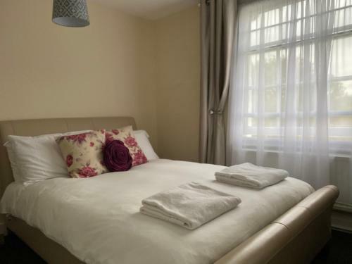 Hostal Black Lion