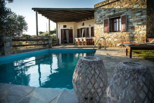 2ag252-house With A Pool In Andros