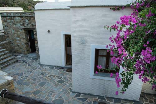 2ag252-house With A Pool In Andros