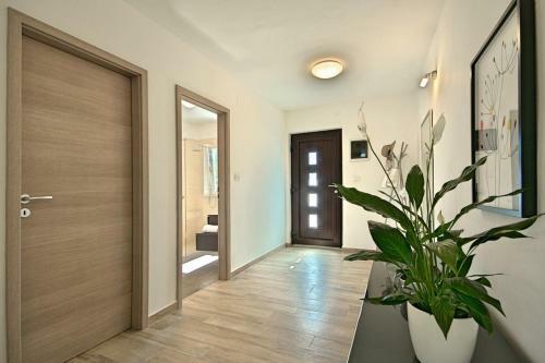 Apartment Leni