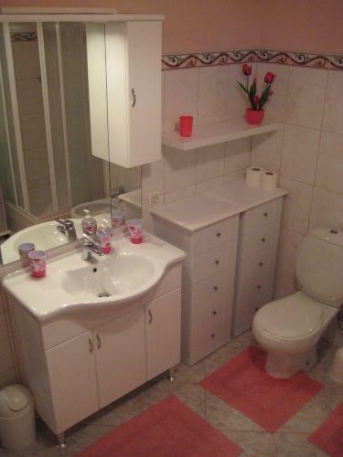 Spacious Villa Kostelj In Unique Location