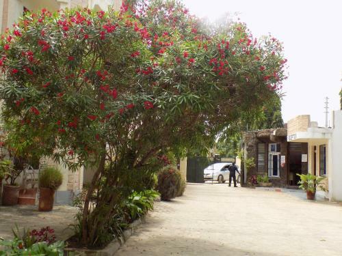 Jacyjoka Apartments Nyali