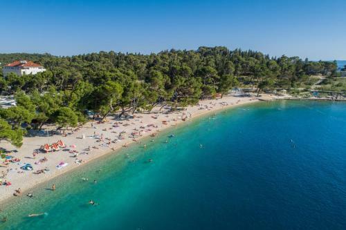 Prunus-luxurious Holiday Home With A Private Pool