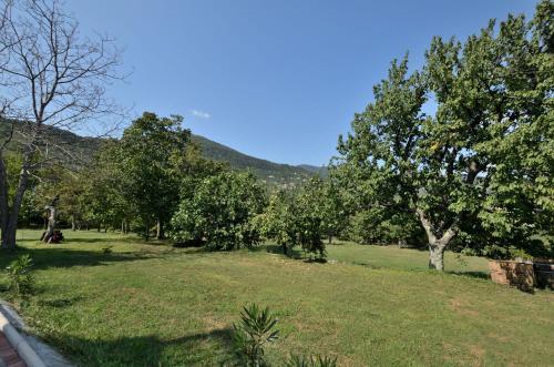 Apartments Lovran-opatija